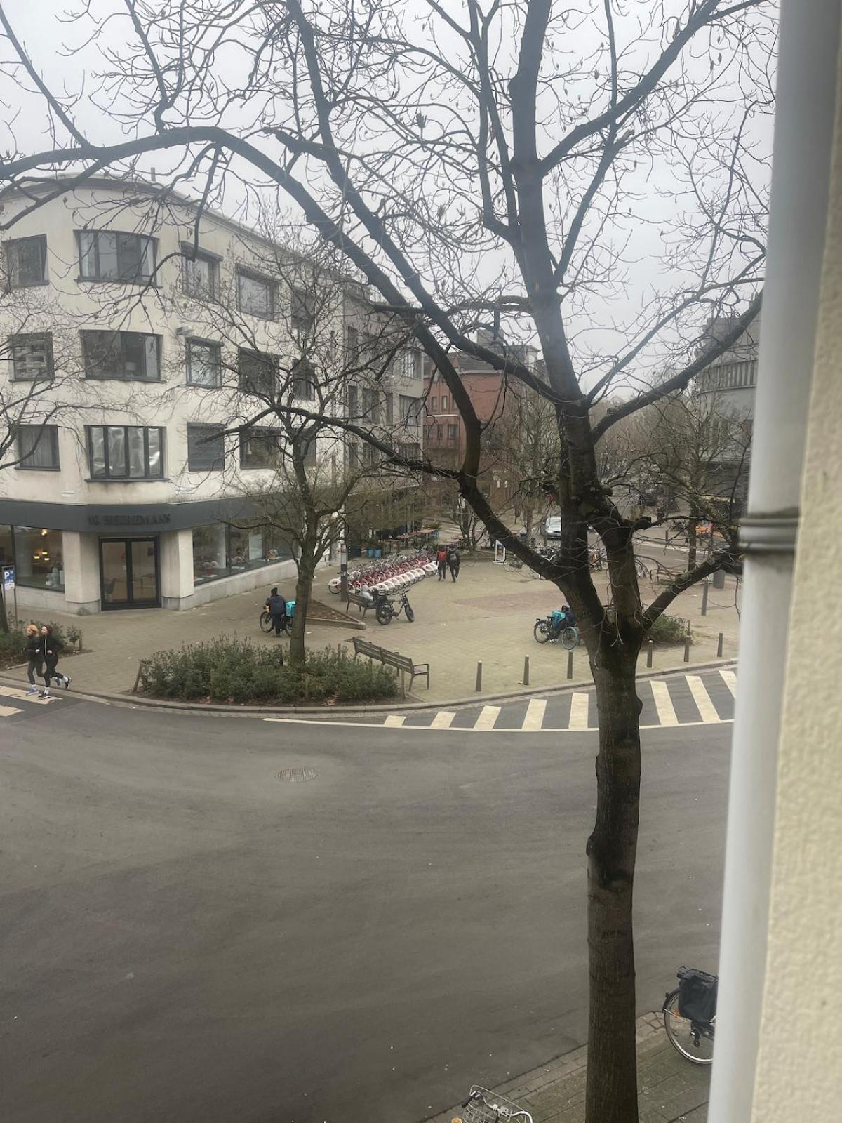 Apartment Close To Zuid Park Antwerp